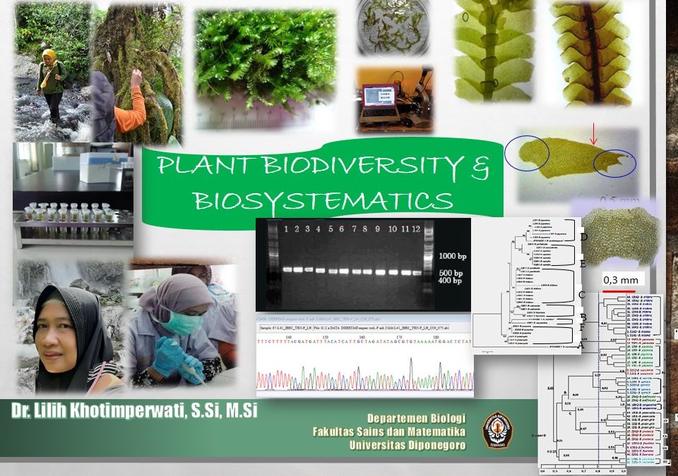 Dr. Lilih Khotimperwati’s Adventure in Moss Exploration: Unveiling Cryptogamic Riches in Java Island
